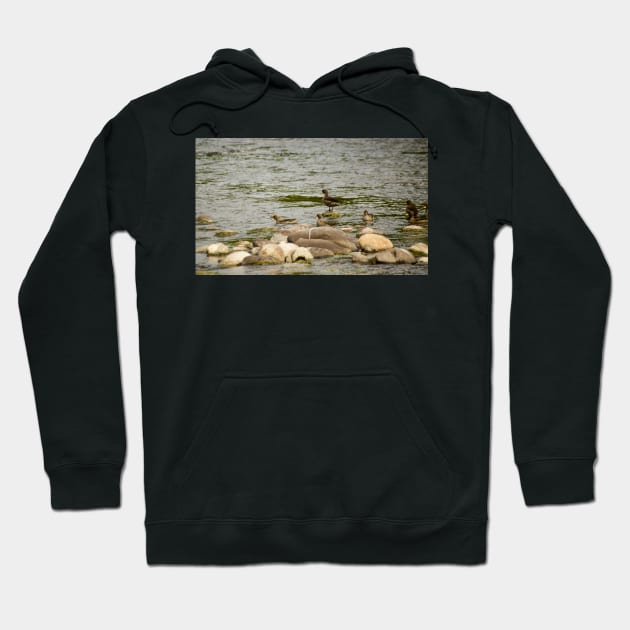 gli ducks Hoodie by pcfyi